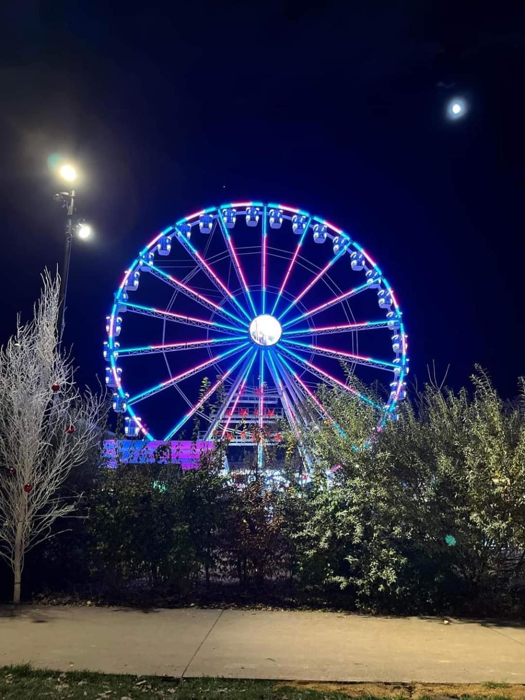 Logement Cosy Et Spacieux, A 2 Pas Du Centre-Ville Colmar Luaran gambar